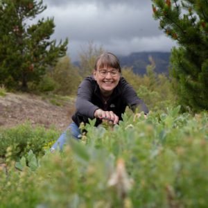 The Healing Power of Icelandic Herbs